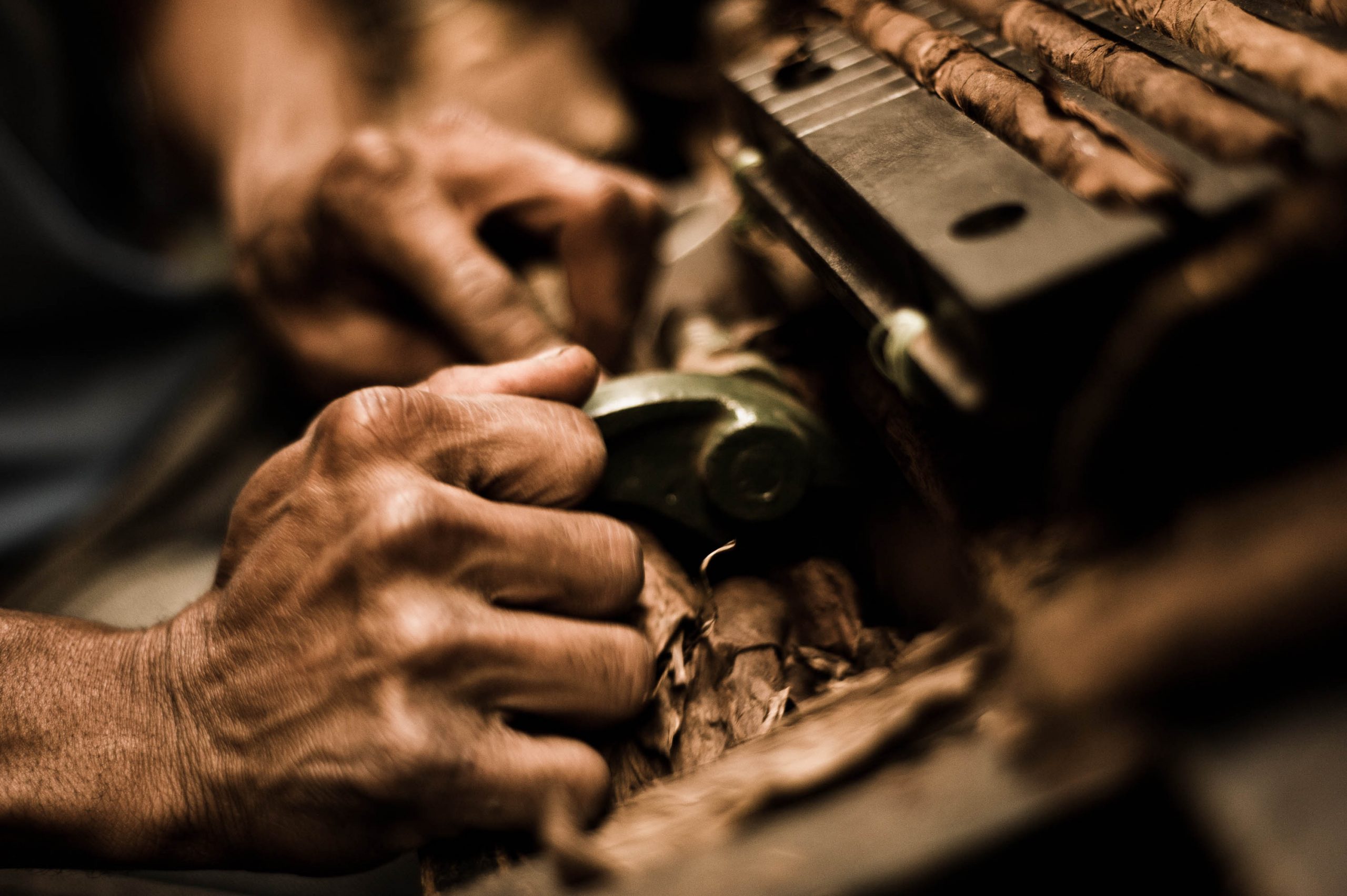 Handmade cigar production process. Tabacalera de Garcia Factory. Casa de Campo La Romana Dominican Republic 6 scaled